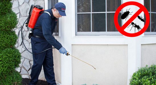 Yusufeli Akrep İlaçlama böcek ilaçlama ve haşere kontrolü — ilaclama-tr.com